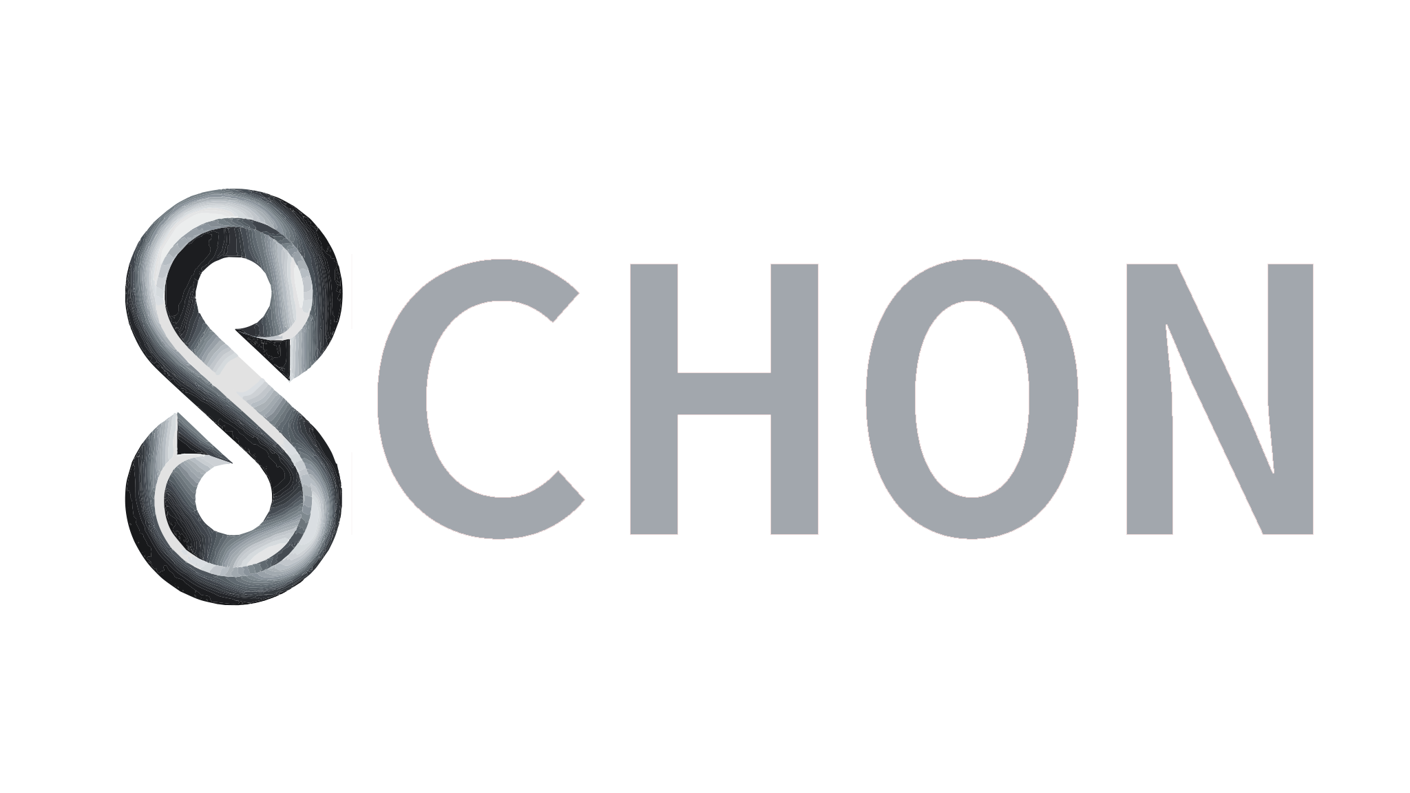 Schon Logo